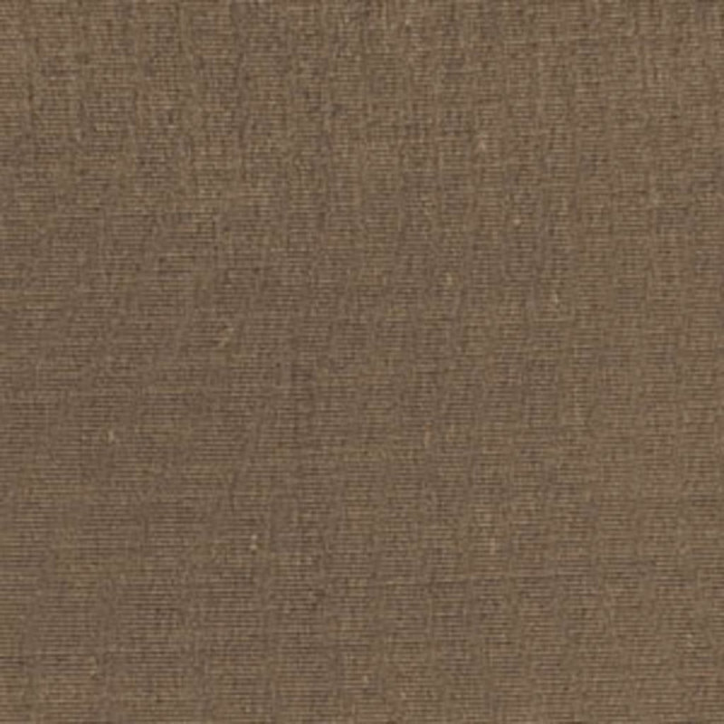 Snapshot Fabric, Earth