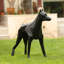 Dominick Animals Statue