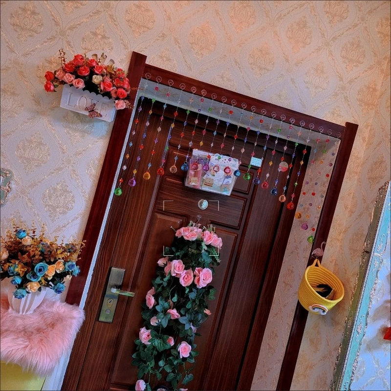Rideau perlé en cristal, décoration de porte suspendue multicolore avec boules en acrylique, paravent à ficelle arc-en-ciel (20 cordes)