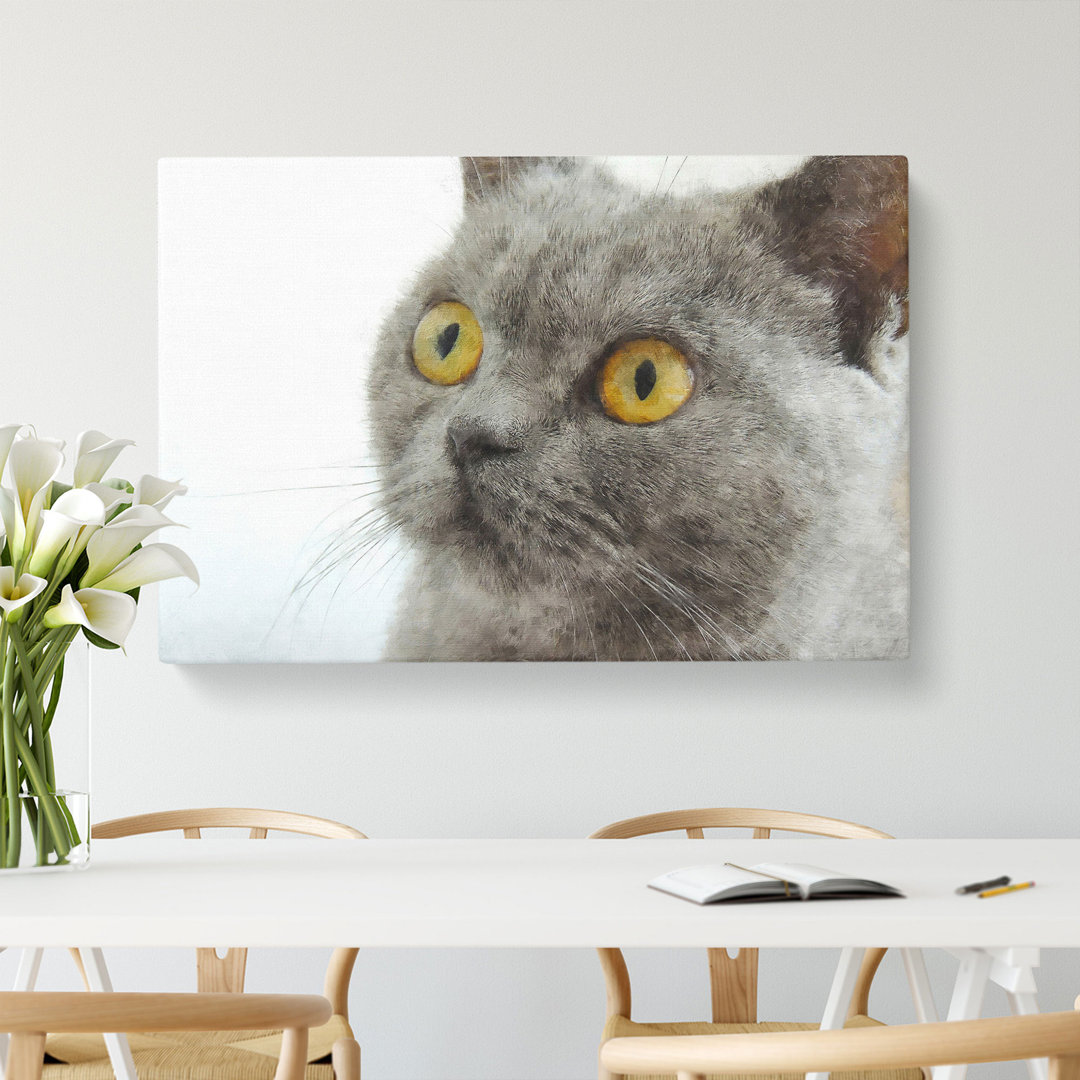 British Shorthair Cat Vol.5 - Wrapped Canvas Print