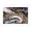 Magnetism by Corrie LaVelle - Wrapped Canvas Gallery-Wrapped Canvas Giclée-936821426