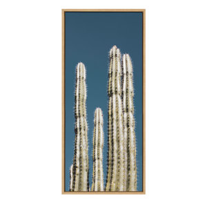 Beachcrest Home Shalyce Desert Cactus Photography Framed On Canvas by ...