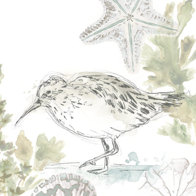 Seaside Sandpipers II by June Erica Vess - Wrapped Canvas Painting