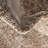 Clessie Oriental Indoor Rug-1796591944