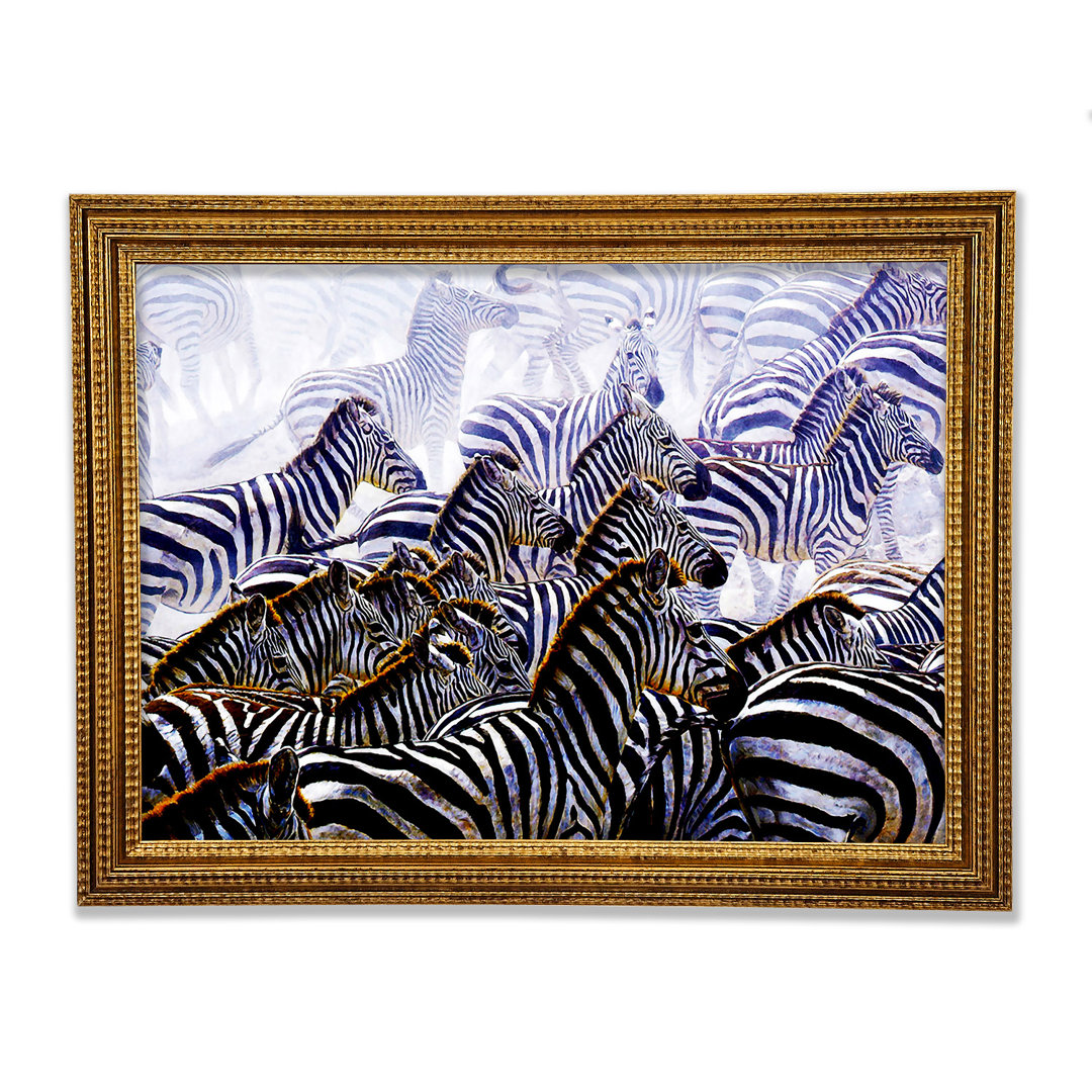 Zebra Stampede - Druck