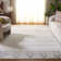 Tapis beige et argent de style sud-ouest Wynn