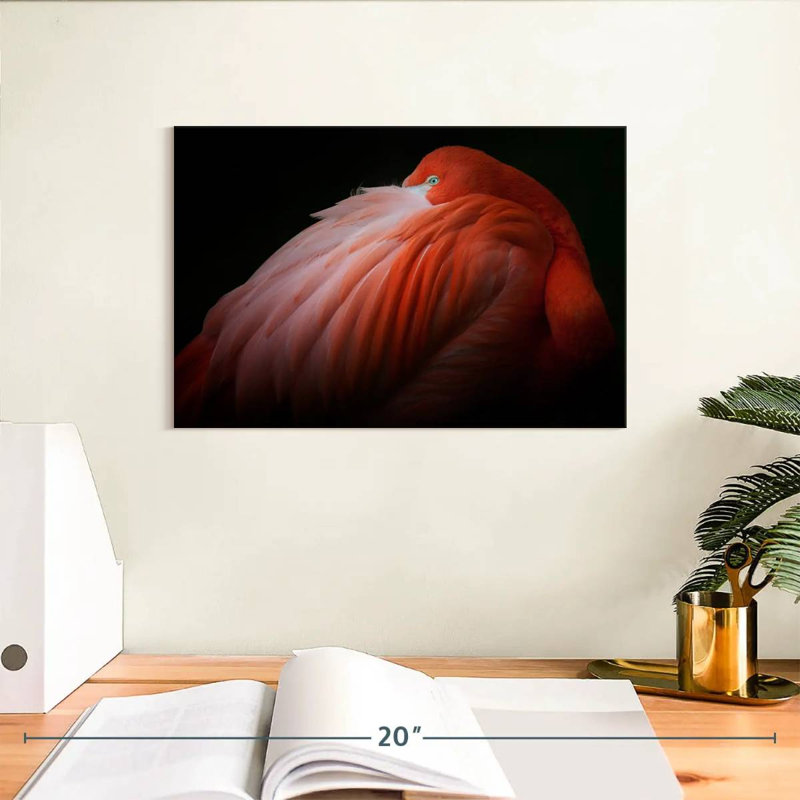 Brampt timide flamant rose, H 8 po x l 12 po