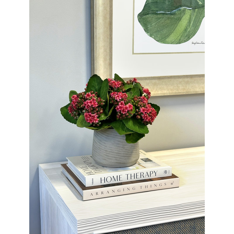 Kalanchoe Arrangement in Fiberstone Pot, Pink