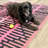 Haysville Reversible Handwoven Black Striped, Zig-Zag on Pink Wool/Cotton Blend Flatweave Dhurrie Area Rug-1640323253