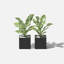 Geo Series Cube Planter-87239277-87184362