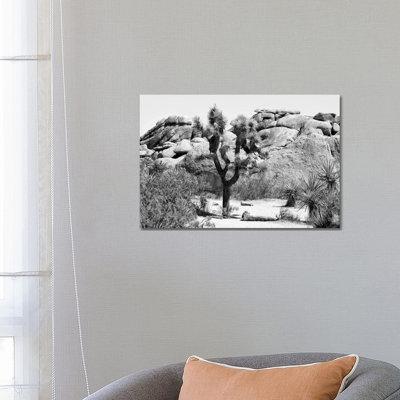 Black California Series - Joshua Tree - Wrapped Canvas Print