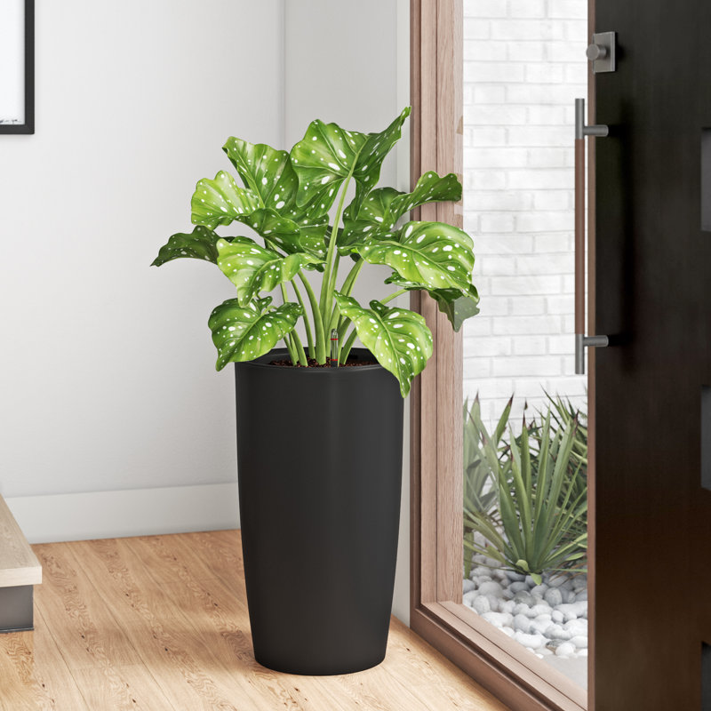 Pot à fleur en plastique à arrosage intérieur / extérieur Byrum, Bleu / blanc, H 21,7 po x l 14 po x P 14 po