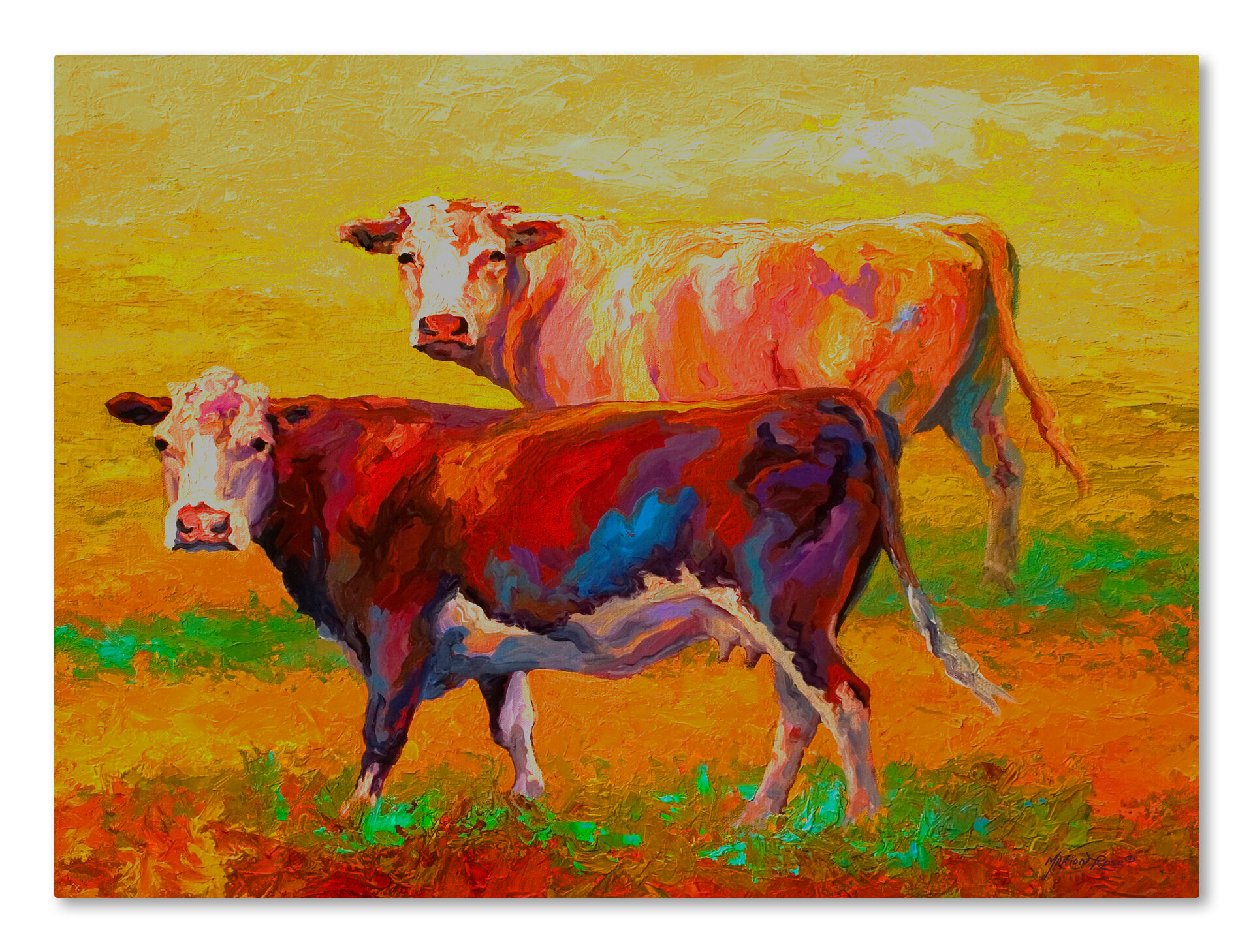 Colourful Cow Cattle 2 Watercolour Painting Style Animal Kids Room Canvas  Print