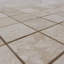 2 x 2 pi DIana royal poli