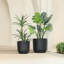 Pot à fleurs intérieur / extérieur Greemoor-505640552-505640551