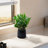 7" Black Ceramic Planters   Of 2 , For Patio, Garden, Windowsill, Featuring Drainage Hole And All - Weather Performance 2, Modern In Ceramic, Suitable With Frost Heat Durability-1748445732