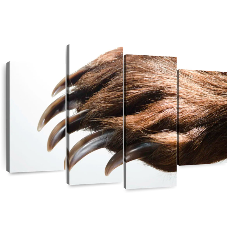 Brampt Brown Bear Claws, 22"H x 36"W