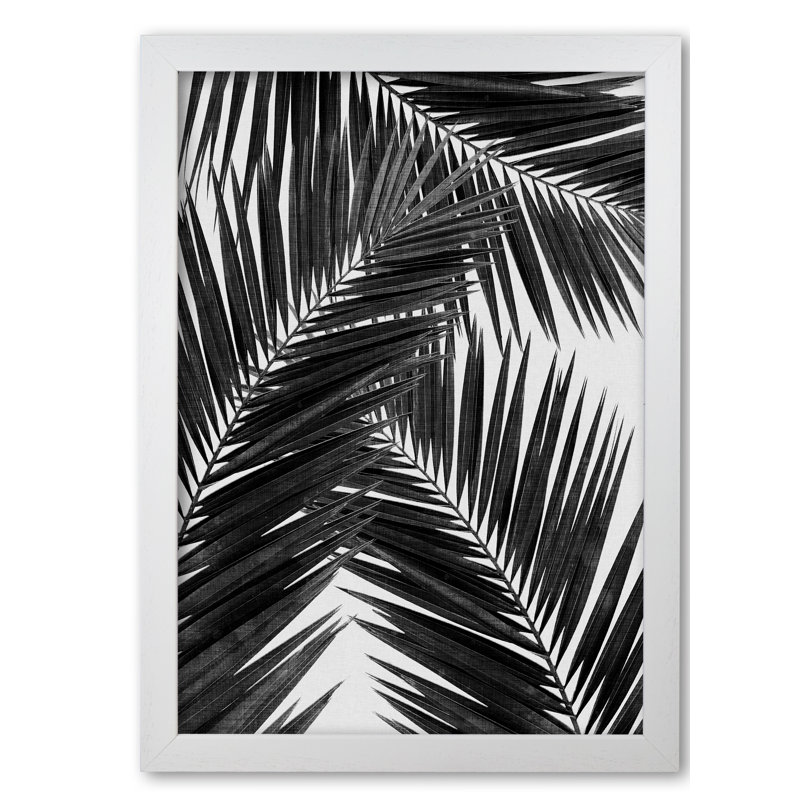 PaIm Leaf III - Print, 30 cm H x 21 cm W x 5 cm D, Black, White Grain Frame