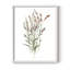 Reproduction encadrée «Dicat Botanical II» - bois massif-232355365-232355366