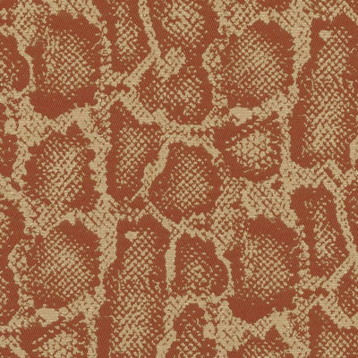 Sophisticated Suite II Fabric