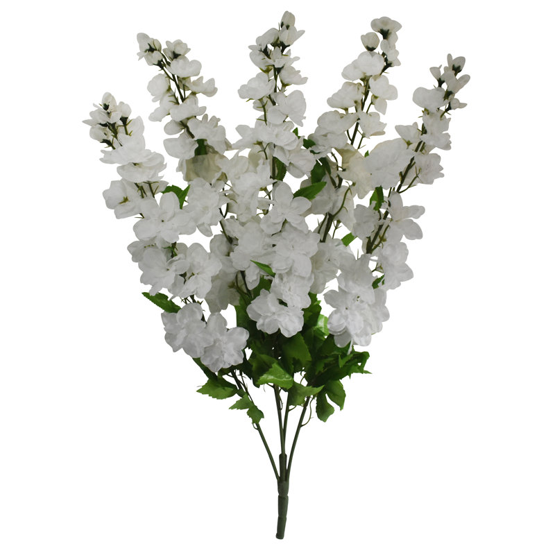 Buisson Delphinium 26 po x 5, Blanc