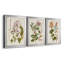 «Vintage Flowering Trees II», ensemble de 3 impressions sur toile encadrées-428839000-428839003