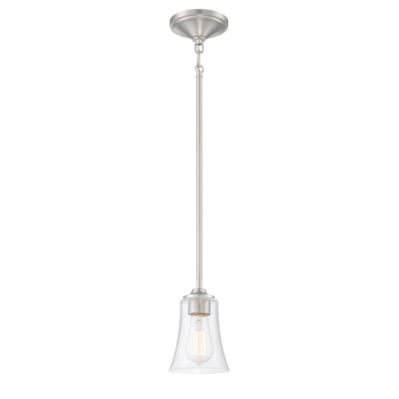 Luminaire suspendu 1 cloche à simple cloche wilcox, Nickel poli brossé, Martelée transparente