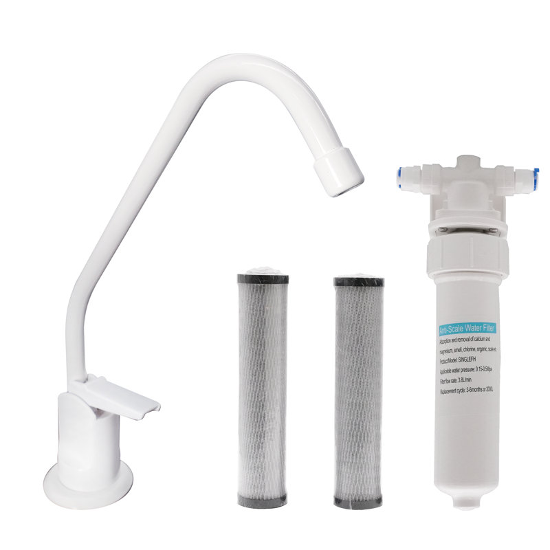 Ensemble de robinet distributeur d'eau froide 8 "avec filtre encastré sous l'évier Touch-Flo, Blanc thermolaqué