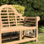 Siobhan Solid Wood Teak Outdoor Bench