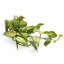 25 cm H Faux Plant-127681130
