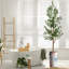 68 plantes-95099206