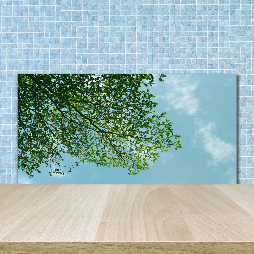 50 cm x 100 cm Glas Spritzschutzpaneel Lugenbeel