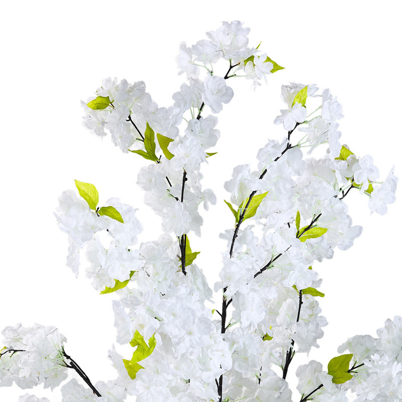 165cm Plant