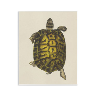 Plaque murale rétro Tortue maritime, design par Phillipa Katz