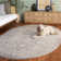 Calidia Oriental Beige/Cream Area Rug