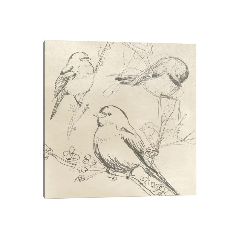 Vintage Songbird Sketch II by June Erica Vess - Wrapped Canvas Print, 30.48 cm H x 30.48 cm W