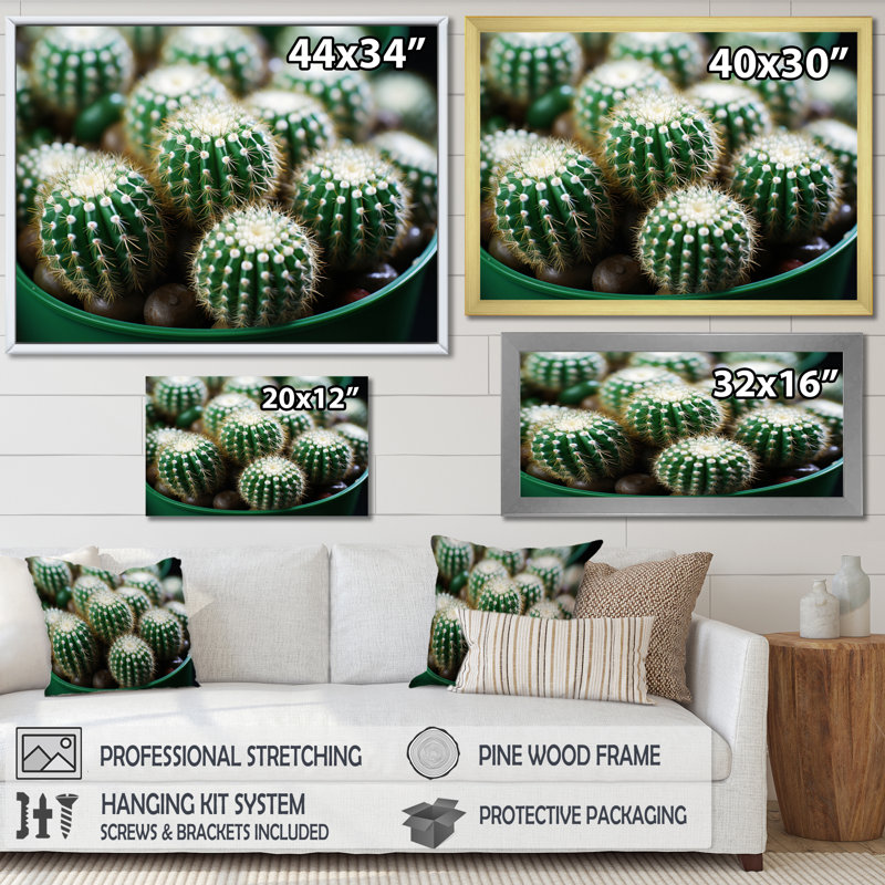«Green Beige Cactus Desert Jewels Mammillaria I», reproduction sur toile, H 30 po x l 40 po x P 1,5 po, Cadre flottant doré