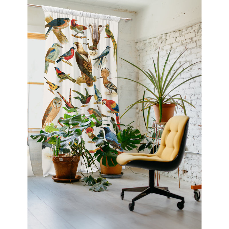 Blackout Curtain Panel Pair, 148 W x 250 D cm
