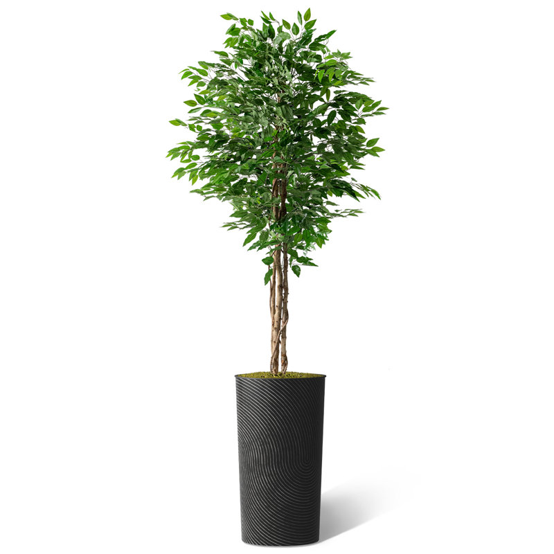 Hautes plantes artificielles artificielles d'intérieur et d'extérieur, H 75 po x l 13 po x P 13 po, Noir