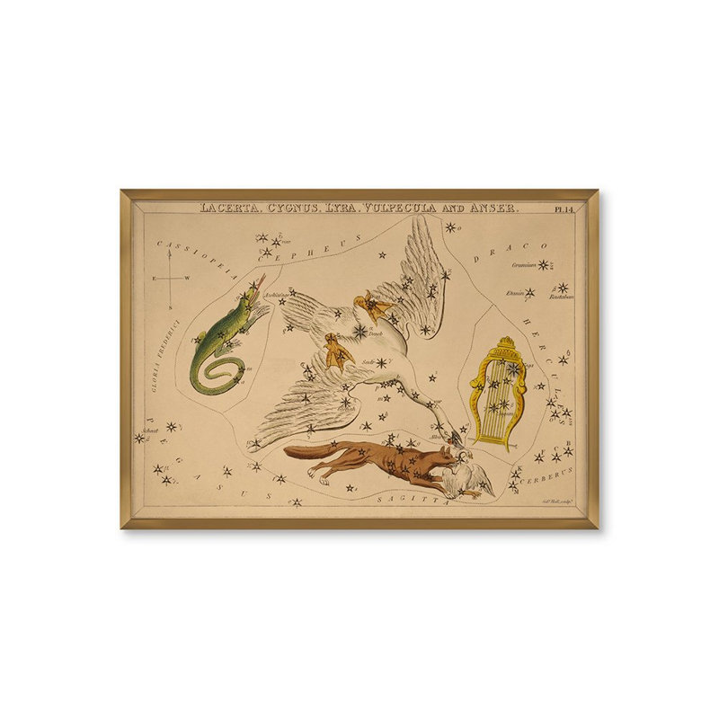 Lacerta Print by Grand Archives
