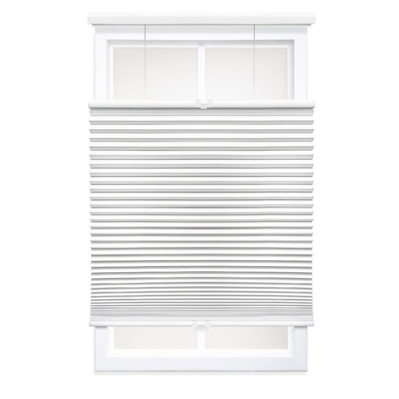 Sheba 1.5 inch Cordless Blackout Top Down bottom Up Cellular Shade, 38" W x 64" L, White