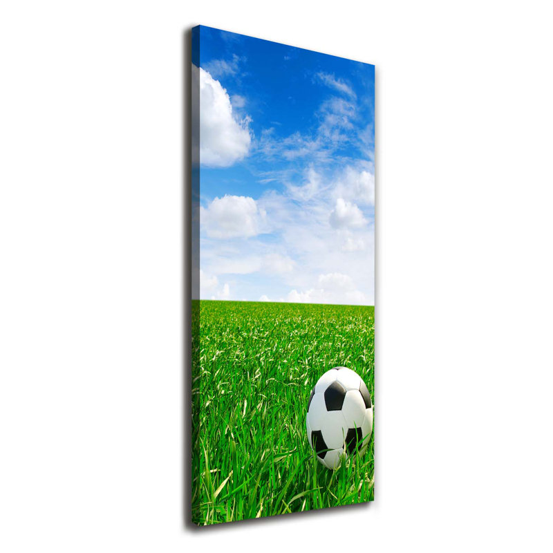 Football on the Meadow 1 Piece Wrapped Canvas Wall Art