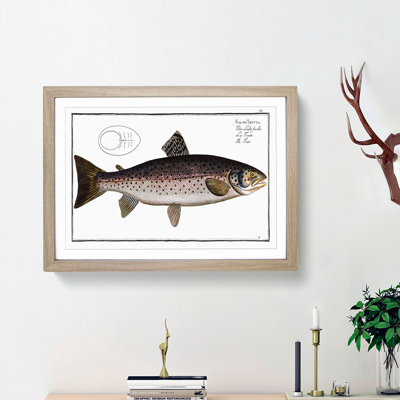 Brown Trout Fish by M.E. Bloch - Picture Frame Art Print