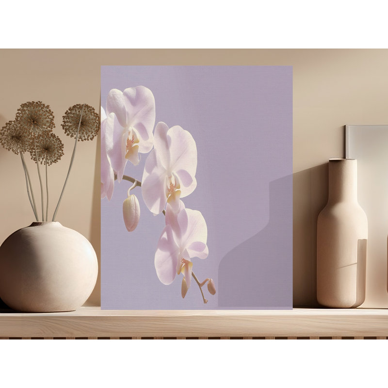 Ferree Wrapped Canvas Print Set, 16x24