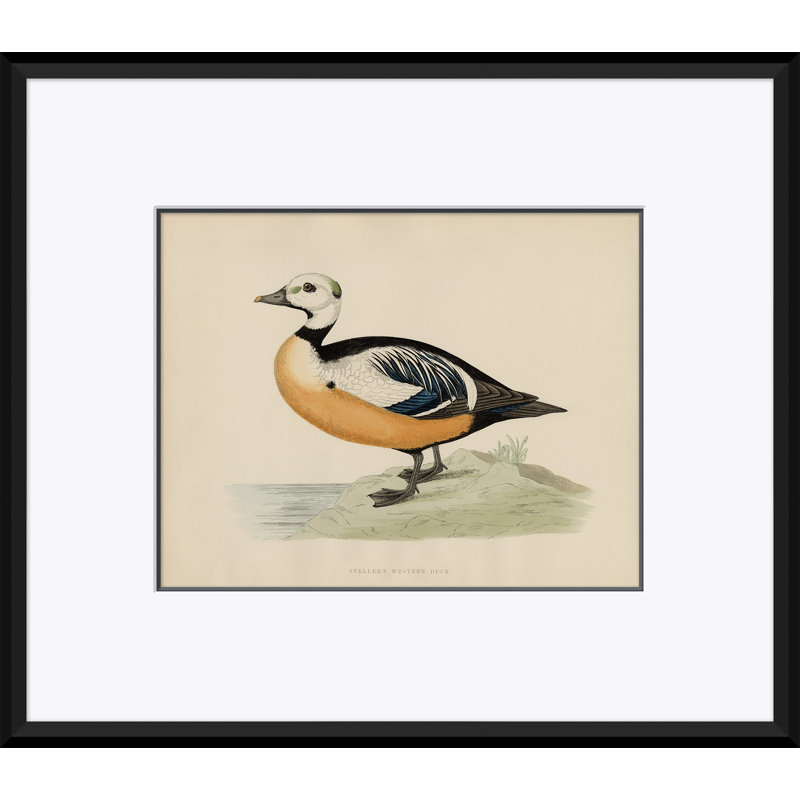 Duck Series Giclee Print by Paul Cezanne
