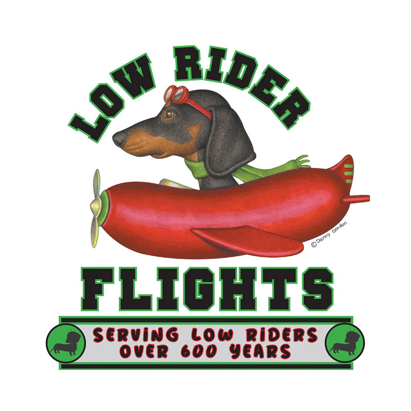Black Dachshund in Sausage Plane - Wrapped Canvas Square Print, 93.98 cm H x 93.98 cm W x 1.91 cm D