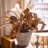 Mixed Assortment Arrangement