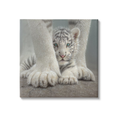 Adorable bébé tigre flou du Bengale blanc avec sa mère près de Collin Bogle - photographie