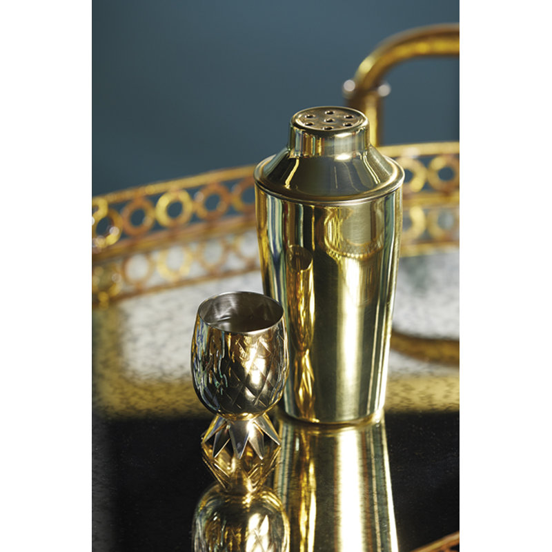 Stainless Steel Shaker