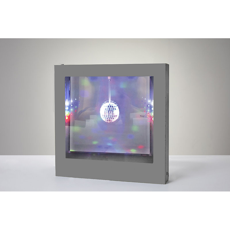 Shane Disco Ball Novelty LED Light Box